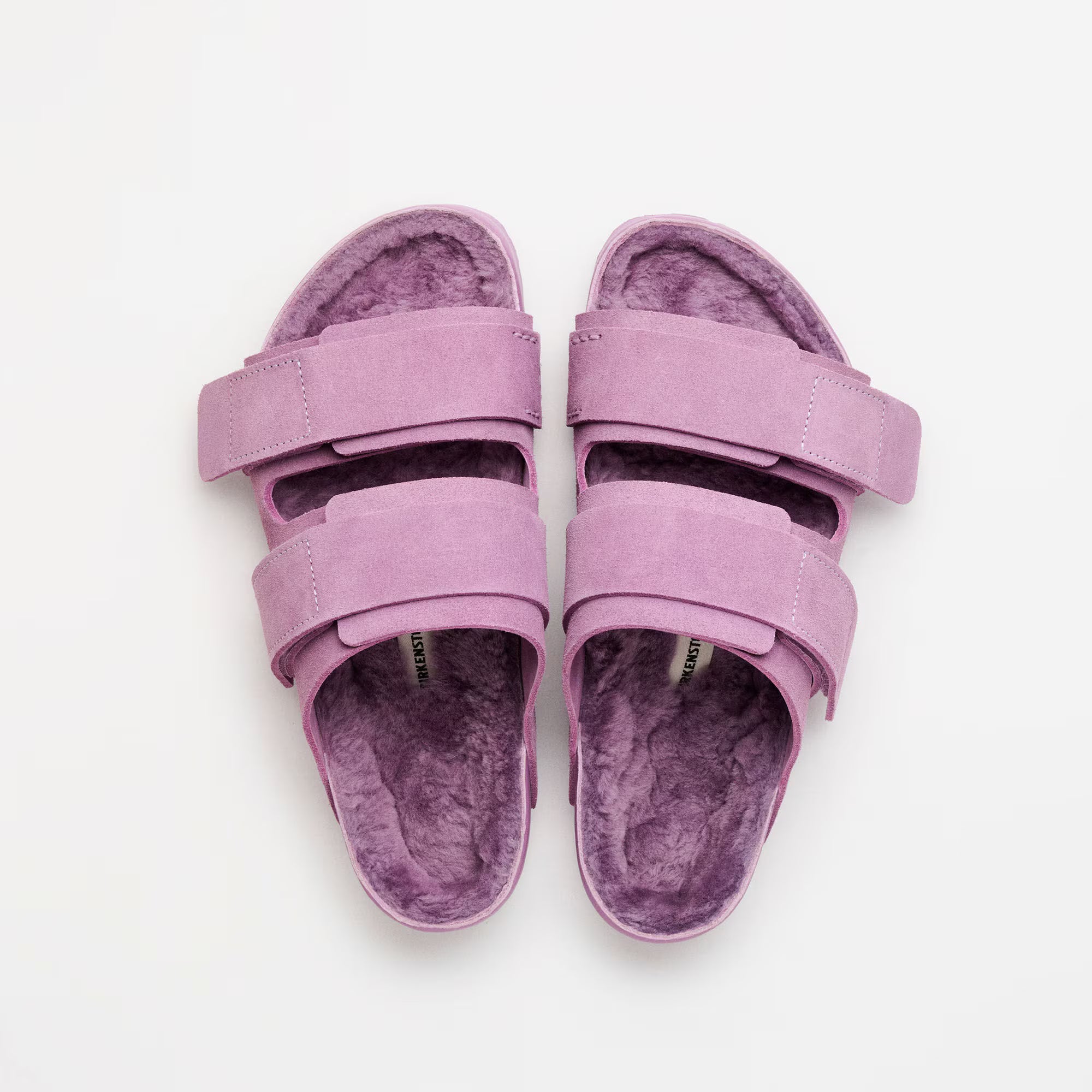 Uji Suede Tekla